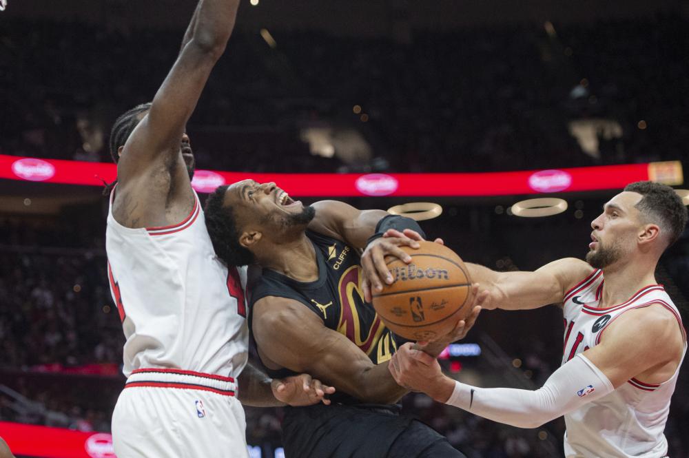 海牛的热身 海牛的热身